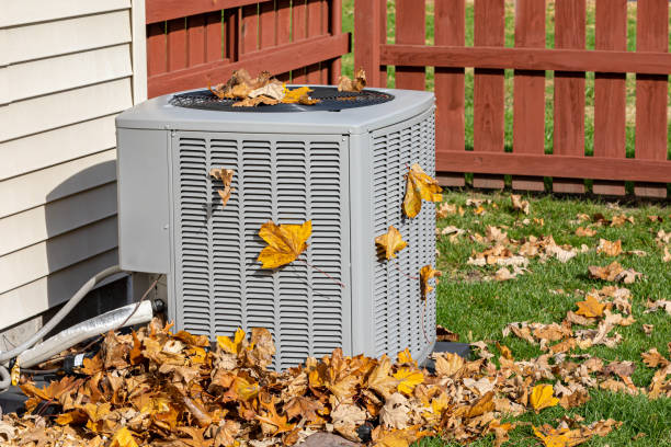 Best HVAC Cleaning Services  in Wliamsvle, IL