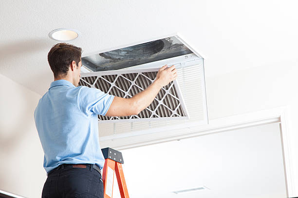 Best HVAC Repair Near Me  in Wliamsvle, IL